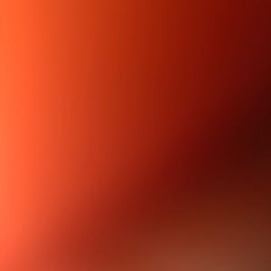 Meet your Posher, Kerin